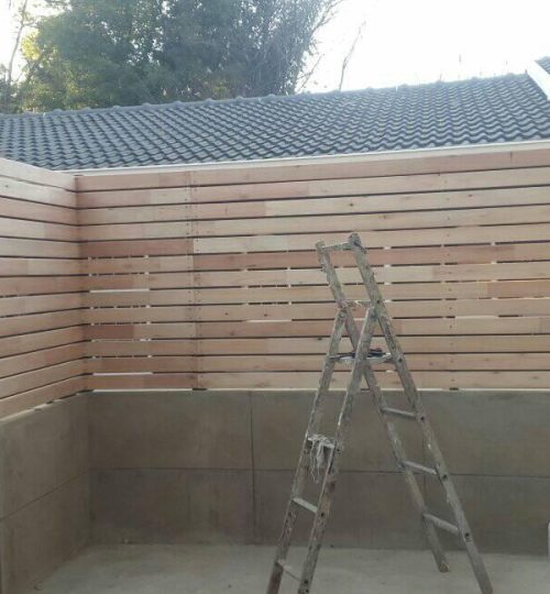 123492049_333591017620479_1506035937318036077_n